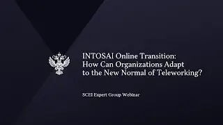How Can Organizations Adapt to the New Normal of Teleworking?