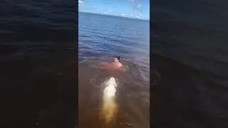 #2023 #лето #собака #счастье #dog #love #happy #summer #лето2023 #video #me #Эстетика #Путешествие