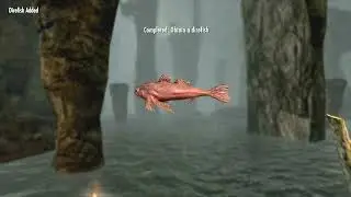 Skyrim AE ~ How To Catch All Four Underground Fish (One Location)