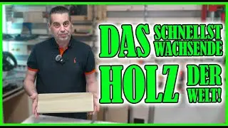 Ein einzigartiges Holz, das KIRI-HOLZ oder auch als Paulownia bekannt | VITO