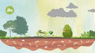 Agir pour la biodiversité 🦉🍄🦇🍃 - Agence régionale de la biodiversité - Vidéostorytelling by Neologis
