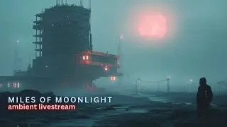 Moonlight Radio // Impromptu Ambient Jam with Minifreak V