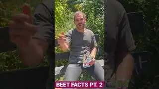 3 nutrition facts about beets