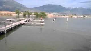 Gary The Newfie Dock Training Session