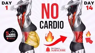 🔥Get a Smaller Waist Fast🔥21-Day Standing Abs Workout ➜30 -Ab Exercises to Burn Belly Fat