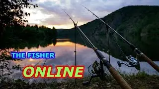 TheFisher online(место ловли Щуки)