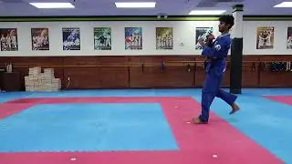 Brown Belt Kicking Combinations