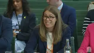 Planning and Infrastructure Bill - Housing Communities Local Gov - Select Committee - 29/04/2025