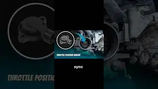 Throttle Position Sensor Making Your Car Sluggish #carmaintenance #repair