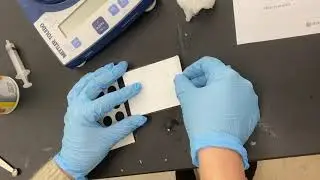 Vet Compounding-BUCOP