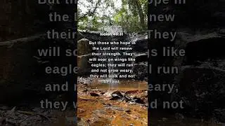 Isaiah 40:31 | Renewed Strength in the Lord