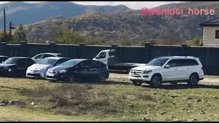 Панкиси. Скачка 06.11.2022. Победитель Аманат - Омало.