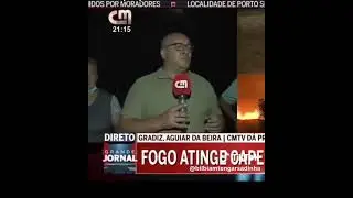 Jornalista da CMTV chama a popula&ccedil;&atilde;o que combate os inc&ecirc;ndios de burros