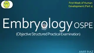 Embryology OSPE - 1st week of human development (Part 1) - KLM & Langman