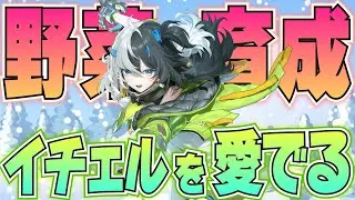 【Stream】イチェルを愛でろ!!!イチェル推しが『ガーデン&ガード』を遊ぶ配信【スノウブレイク】