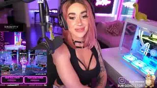 Streamer's Hilarious Hunt for Stream Snipers Cat Cameo!