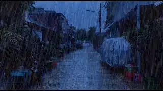 Rain on Rustic Tin Roof & Cozy Thunderstorms for Deep Sleep, Insomnia Relief, and Anxiety Relief