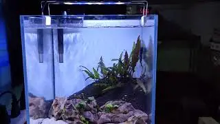 Nano Tank 10 Inches cube