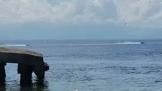 Fast Boats & Fierce Competition: TEAM DART in Action!