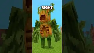 СЕКРЕТНЫЕ ИМЕНА Действия и вещи ОБНОВЛЕНИЕ 1.7! #minecraft #шорты