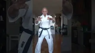 Goju-ryu Karate-Do shoreikan. Kata kakuha no. 2