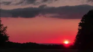 Fatoumata Diawara Fatour - Sowa (Okta Remix)