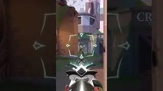 SATISFYING REAVER ACE #ace #valorant #reaver #reavervandal #vandal #w