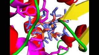 Ligand Binding Domain of Human Xenobiotic Receptor
