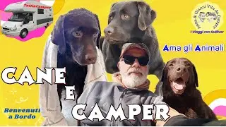 🚚 Il Cane e il Camper 🦮 Viaggiare con il nostro amico a 4 zampe ➡ I viaggi con Gulliver
