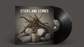 Sticks and Stones by David Coy