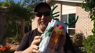 Pub Crawl Channel Merry Xmas