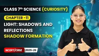 Shadow Formation - Light: Shadows and Reflections | Chapter 11 | Class 7 Science Curiosity | CBSE