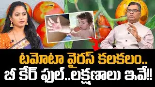 టమోటా వైరస్ కలకలం బీ కేర్ ఫుల్ లక్షణాలు ఇవే? Tomato virus | Tomato Flu- Symptoms | Dr. Vijay Bhaskar