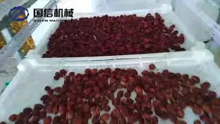 Vegetable cleaning equipment fruit washing machine production line
