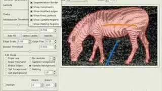 Realtime Interactive Segmentation (Zebra)