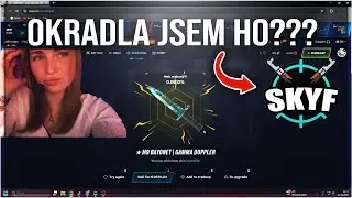 OKRADLA jsem SKYFA o VŠECHNY jeho skiny?!