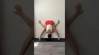 #yogacoach #mobility #stretchingexercises #yogaskills #wellnesscoach #polarubis #neosutras #healthy