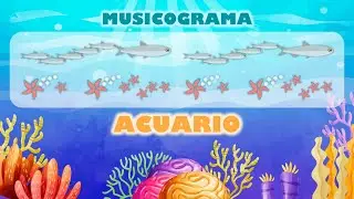 MUSICOGRAMA - 
