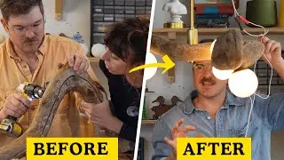 Will it Lamp? Driftwood