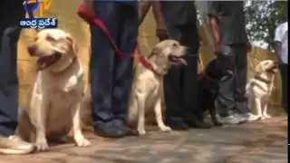 SP Ravi Krishna inaugurated canine squad in kurnool