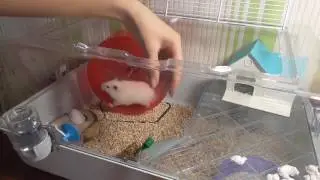 Обзор нашей дюны )