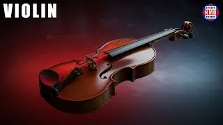 🎻 VIOLIN SOUND - MUSICAL INSTRUMENT SOUNDS - The Best Sound Effects