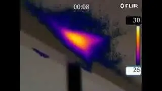 Thermal Imaging and Termite Inspections