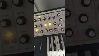 Moog Subphatty Synthesizer Snippet