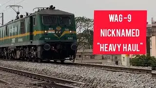 WAG 9 nicknamed the 