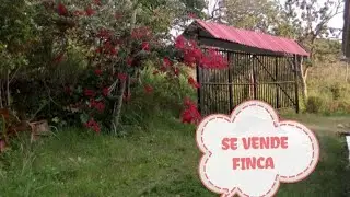 VENTA DE FINCA BITUIMA CUNDINAMARCA