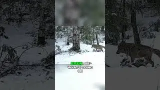 The Ultimate Guide to Protecting Your Camera in Rain and Snow