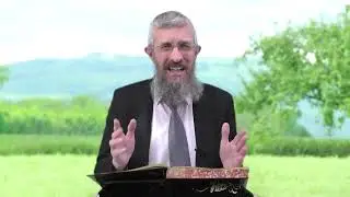 מסכת מנחות דף יז - 8 דקות של לומדות ועמקות בדרך הלימוד הישיבתית [Menachot 17]