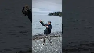 Mariners Life in Southcentral Alaska #halibutcove #oysterfarming #mariculture #seaotter #codfishing