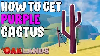 How to get Purple Cactus - Oaklands